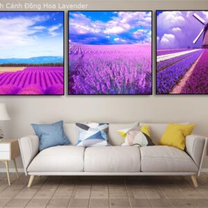 BRO3671 Tranh Cánh Đồng Hoa Lavender