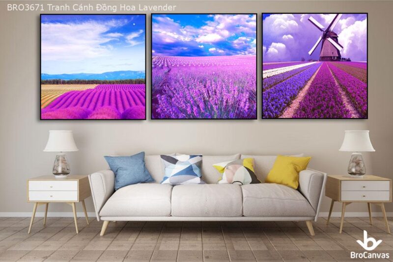 BRO3671 Tranh Cánh Đồng Hoa Lavender