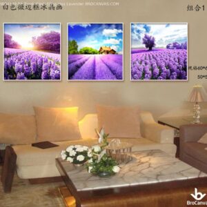 BRO4149 Bộ Tranh Cánh Đồng Hoa Lavender