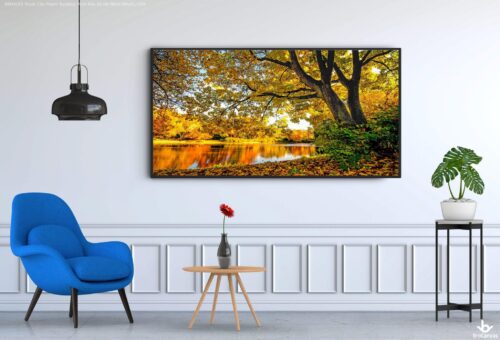 BRO4185 Tranh Cây Phonh Nghiêng Mình Bên Bờ Hồ